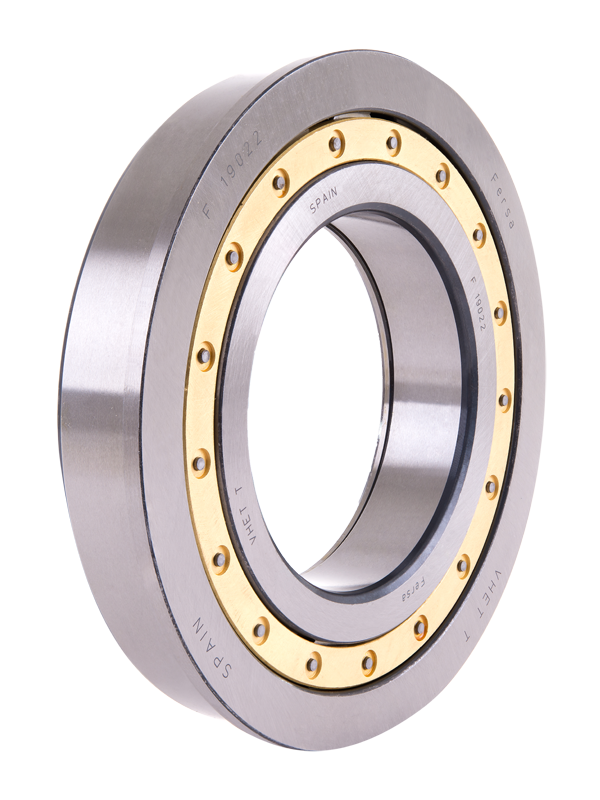 Cylindrical roller bearings (F 19014)