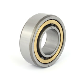 Cylindrical roller bearings (NJ 2205 FM/C3)