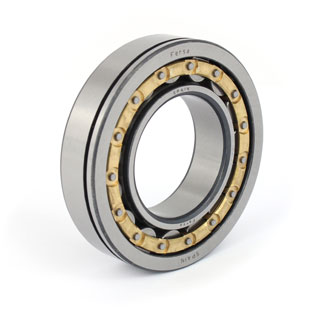 Cylindrical roller bearings (F 19012)