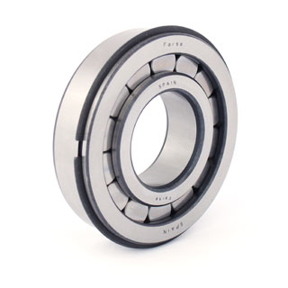 Cylindrical roller bearings (F 19001)