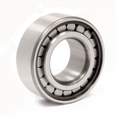Cylindrical roller bearings (F 19100)