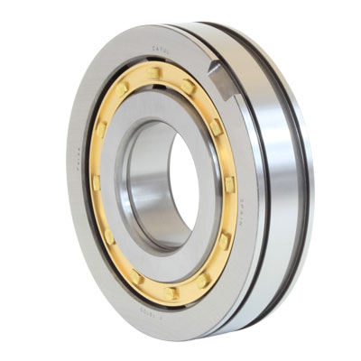 Cylindrical roller bearings (F 19105)