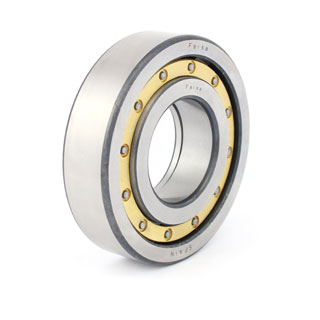 Cylindrical roller bearings (N 307 FM)