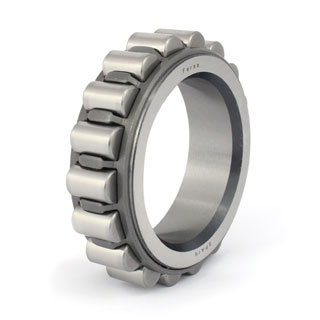 Cylindrical roller bearings (F 19016)