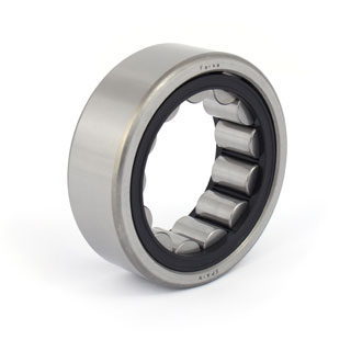 Cylindrical roller bearings (F 19069)