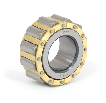 Cylindrical roller bearings (F 19118)
