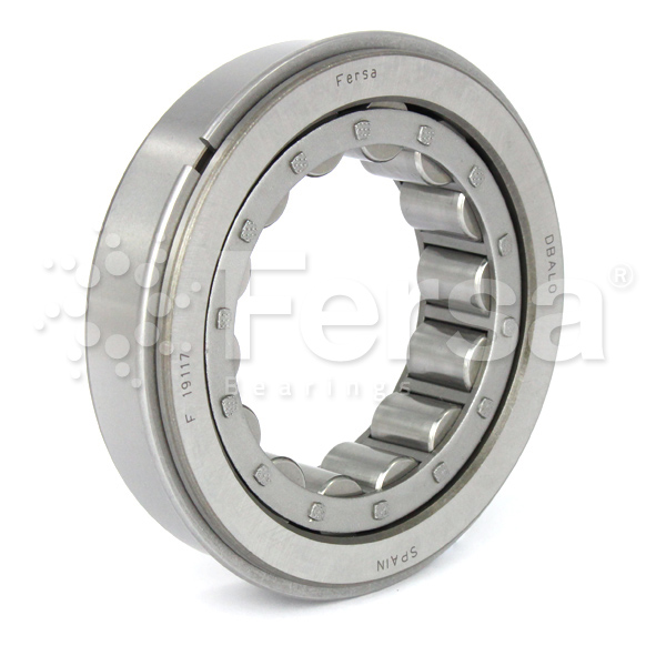 Cylindrical roller bearings (F 19117)