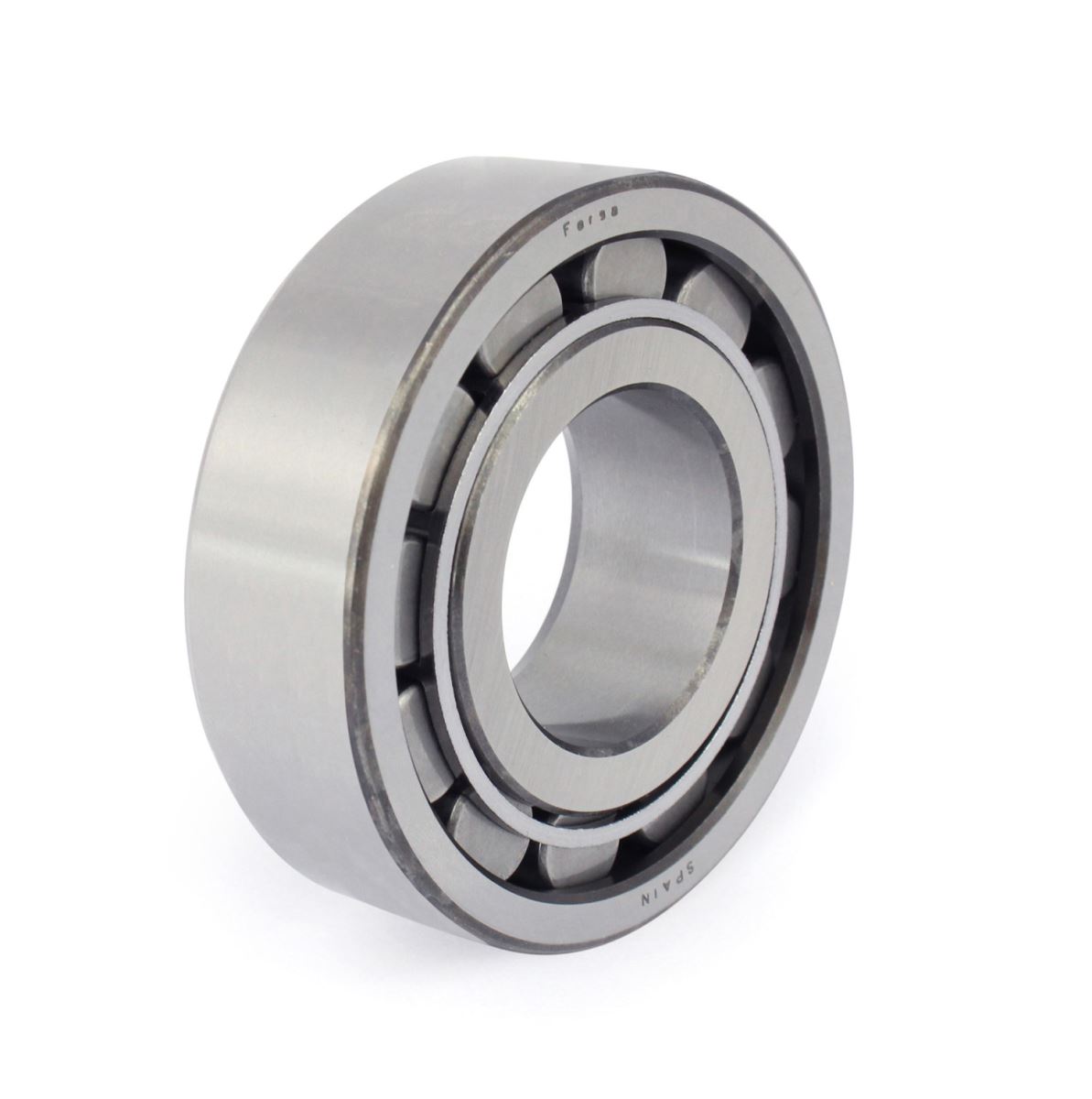 Cylindrical roller bearings (F 19080)
